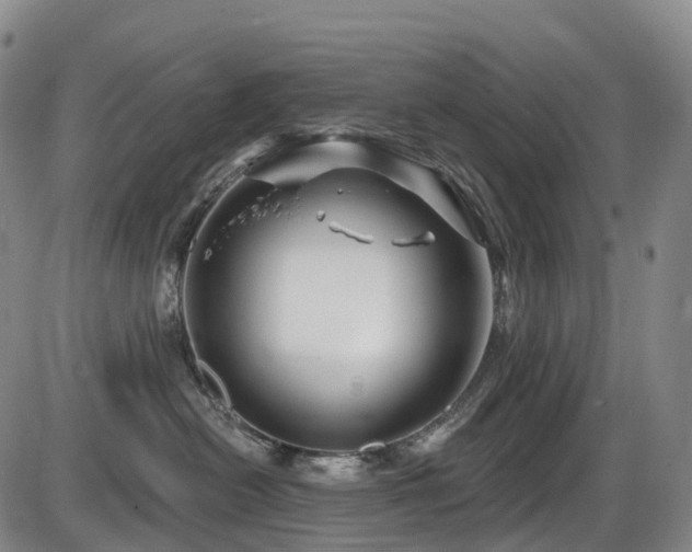 X0000086300478200703301207