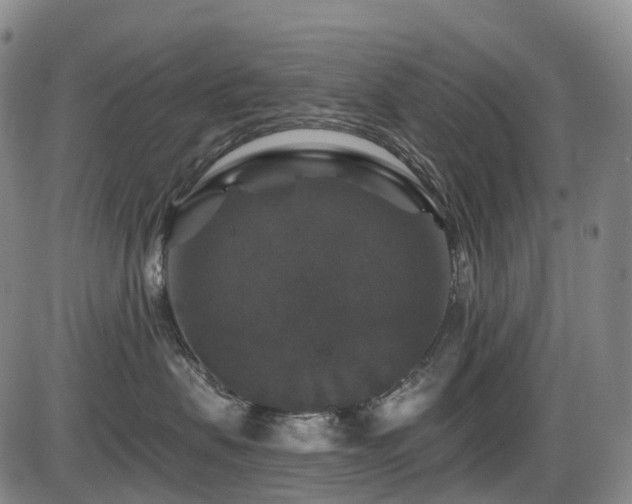 X0000086300479200703301207