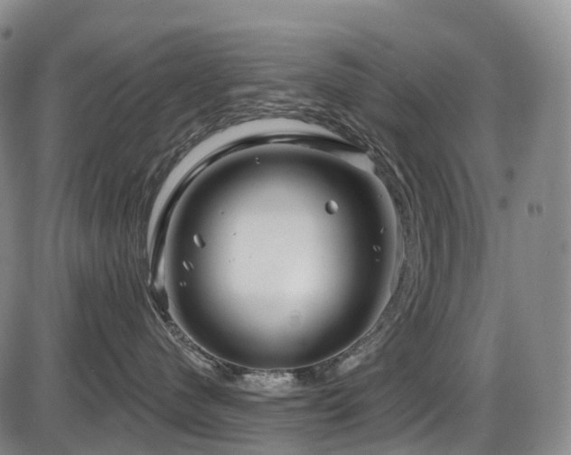 X0000086300480200703301207