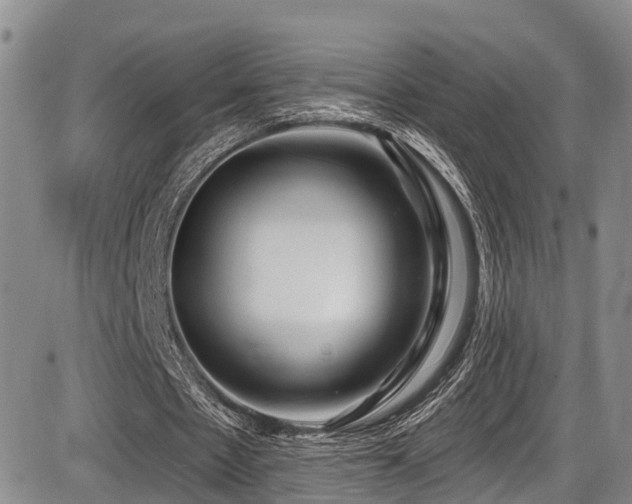 X0000086300481200703301206