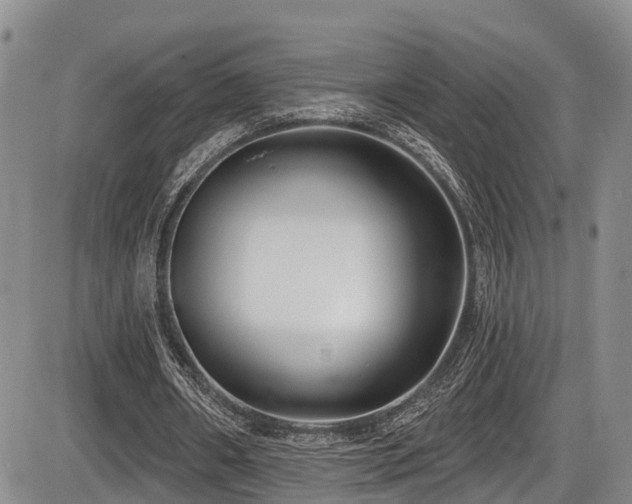 X0000086300482200703301206