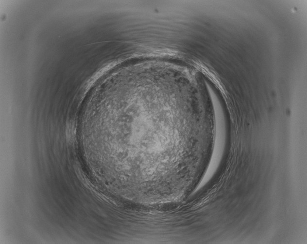 X0000086300483200703301206