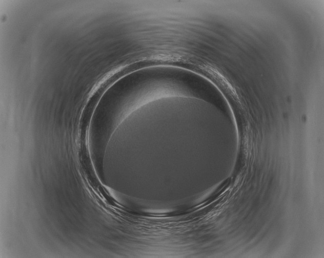 X0000086300484200703301206