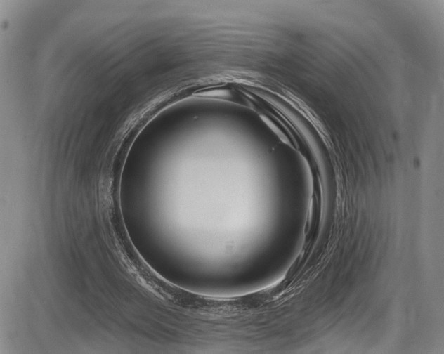 X0000086300485200703301206