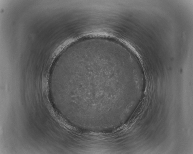 X0000086300487200703301206