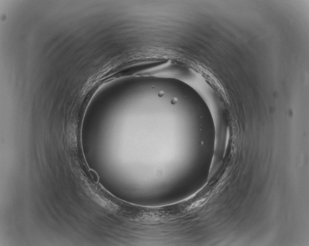 X0000086300489200703301206