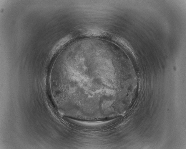 X0000086300491200703301206