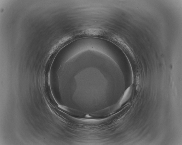 X0000086300492200703301206