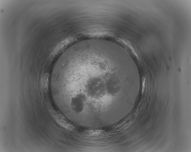 X0000086300495200703301206