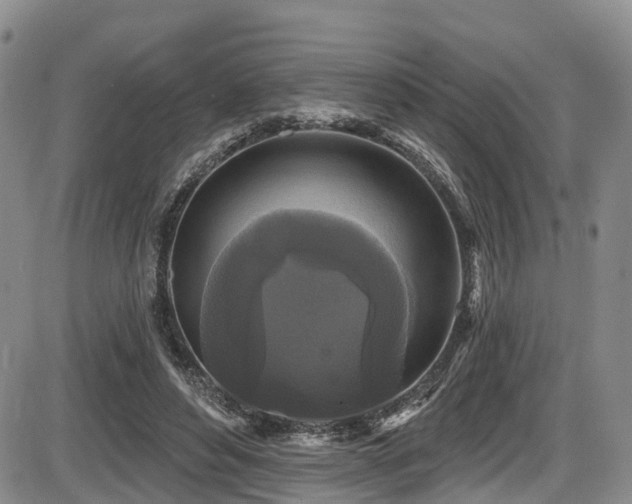 X0000086300496200703301206