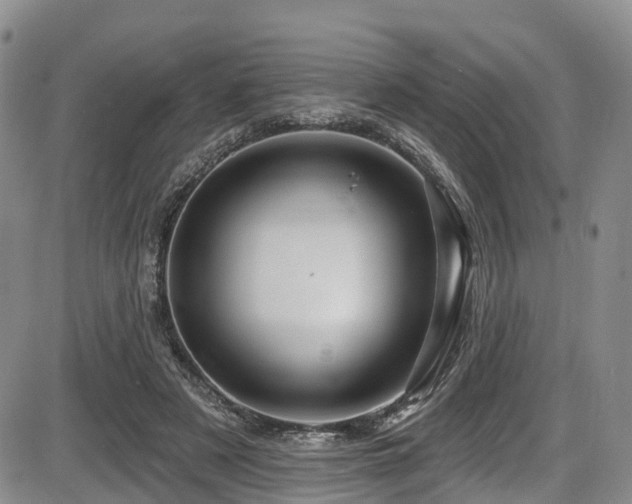 X0000086300497200703301206