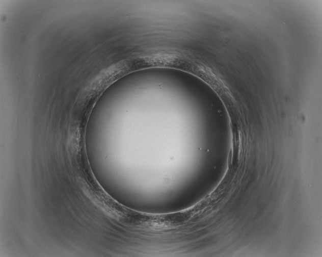 X0000086300498200703301206