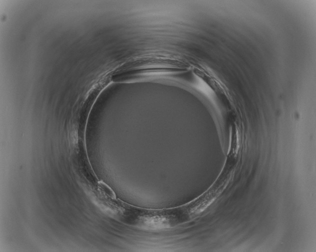 X0000086300500200703301206