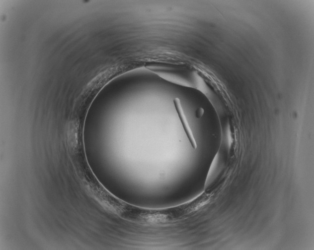 X0000086300501200703301206