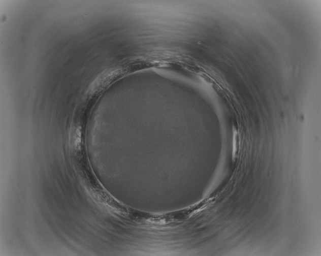 X0000086300502200703301206