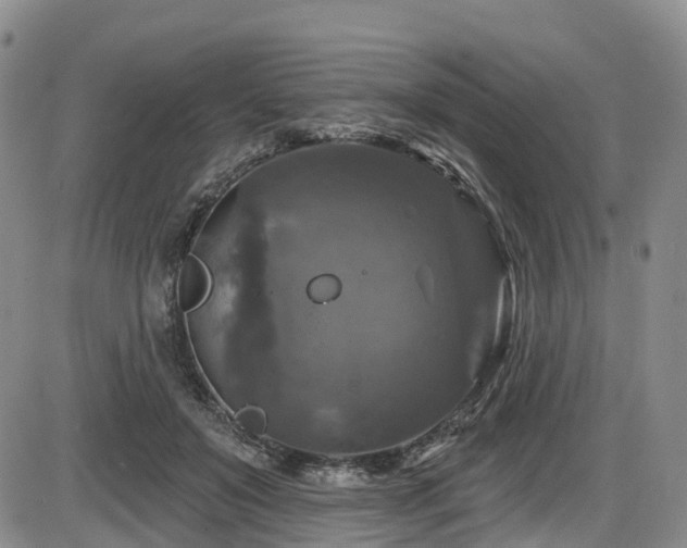 X0000086300503200703301206