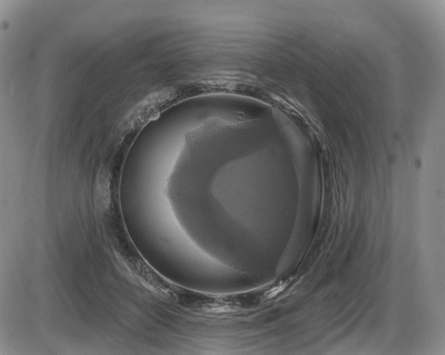 X0000086300504200703301206