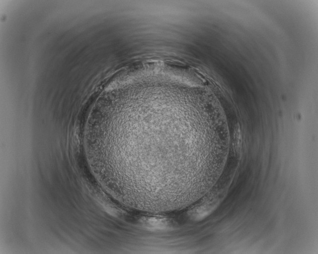 X0000086300506200703301206