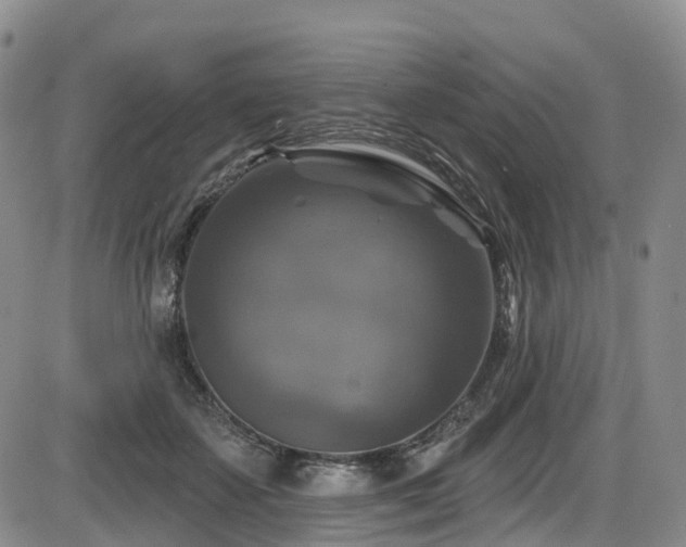 X0000086300507200703301206