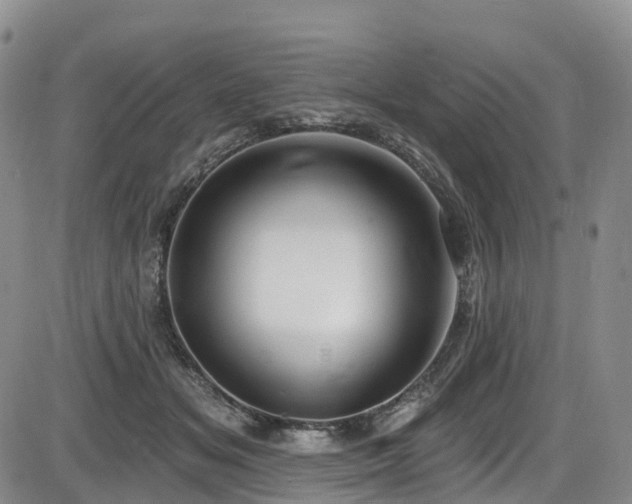 X0000086300509200703301206