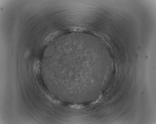 X0000086300511200703301206