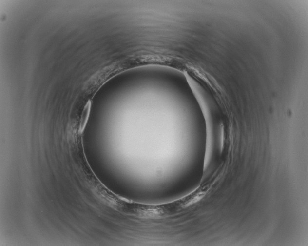 X0000086300513200703301205