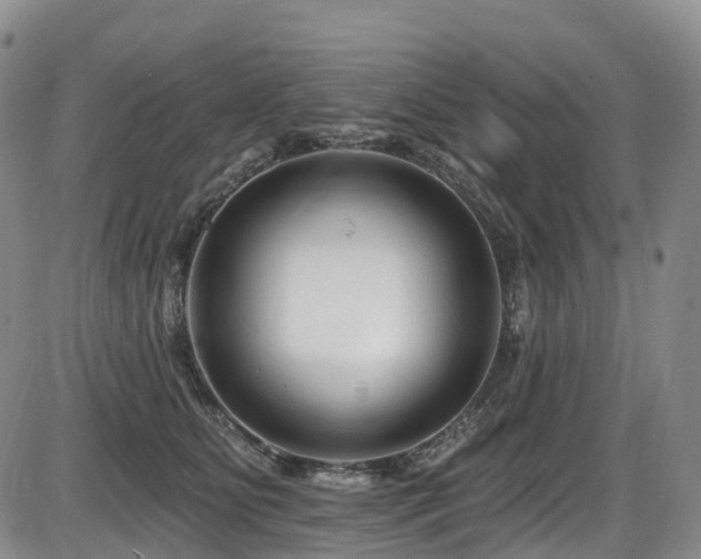X0000086300515200703301205