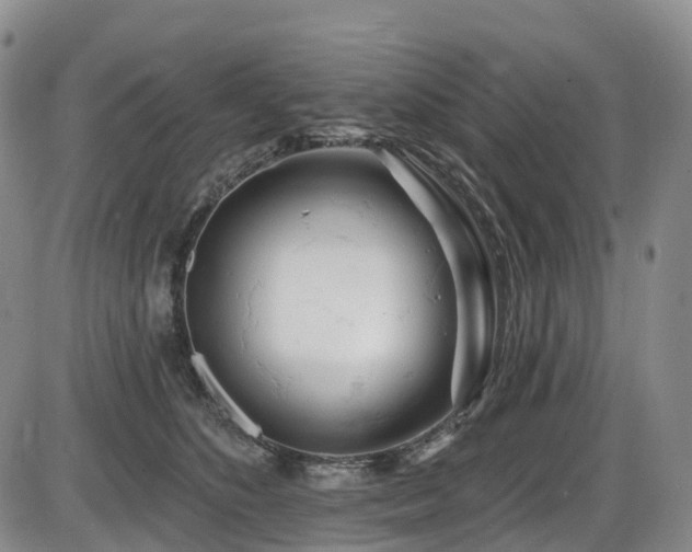 X0000086300516200703301205