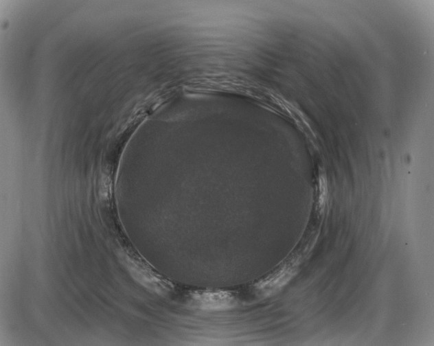 X0000086300517200703301205