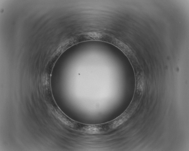 X0000086300518200703301205