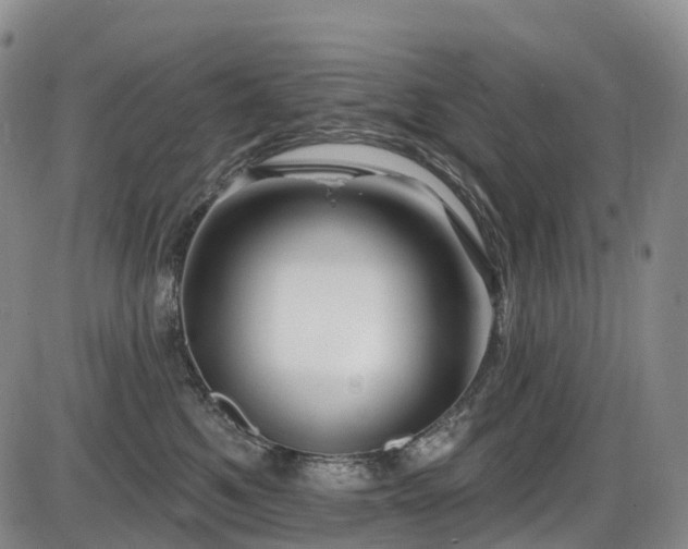 X0000086300521200703301205