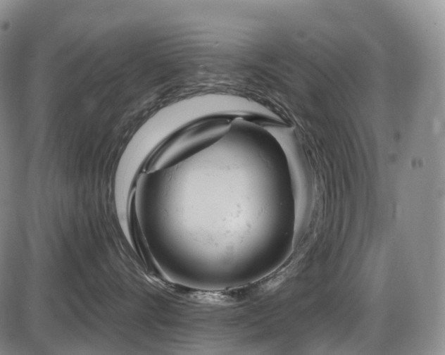X0000086300528200703301205