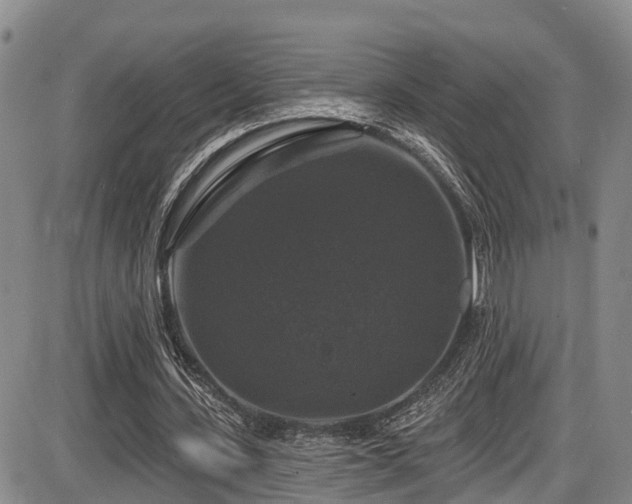 X0000086300531200703301204
