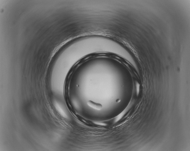 X0000086300536200703301204