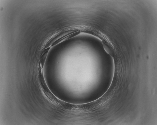 X0000086300538200703301205