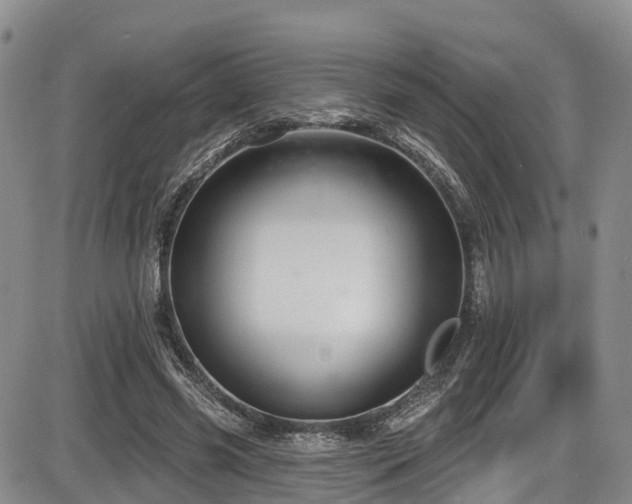 X0000086300541200703301205