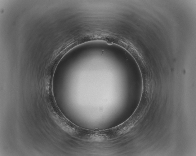X0000086300545200703301205