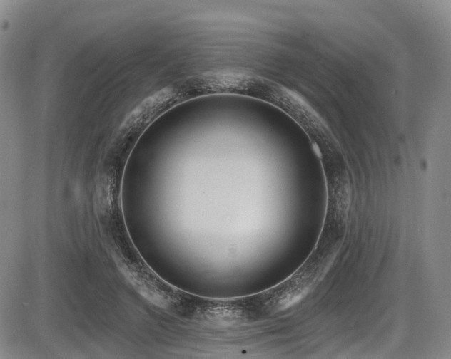 X0000086300546200703301205