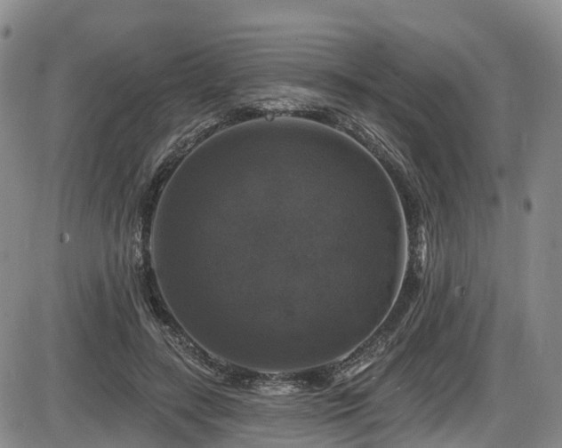 X0000086300547200703301205