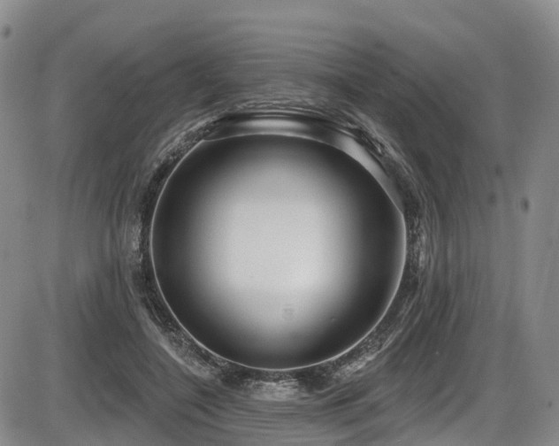 X0000086300548200703301205