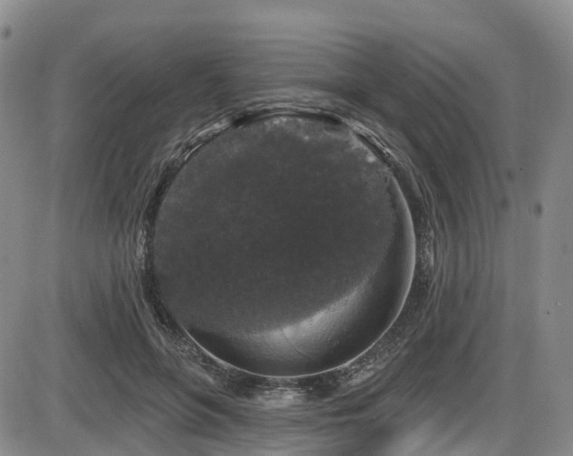 X0000086300551200703301205