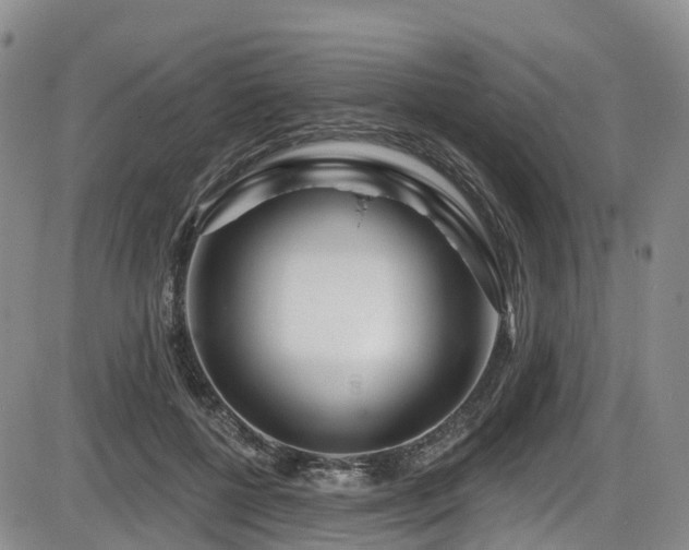 X0000086300552200703301205
