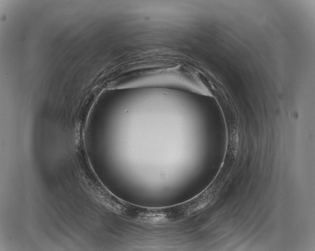 X0000086300554200703301205