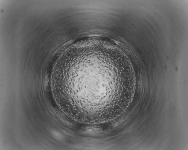 X0000086300555200703301205