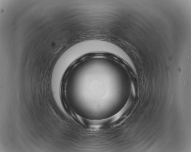 X0000086300560200703301205