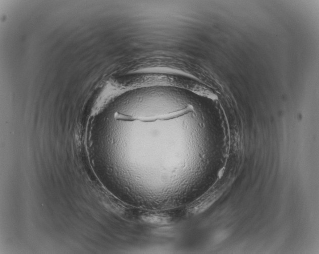 X0000086300561200703301205