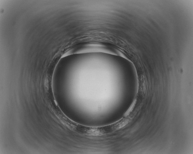 X0000086300562200703301205