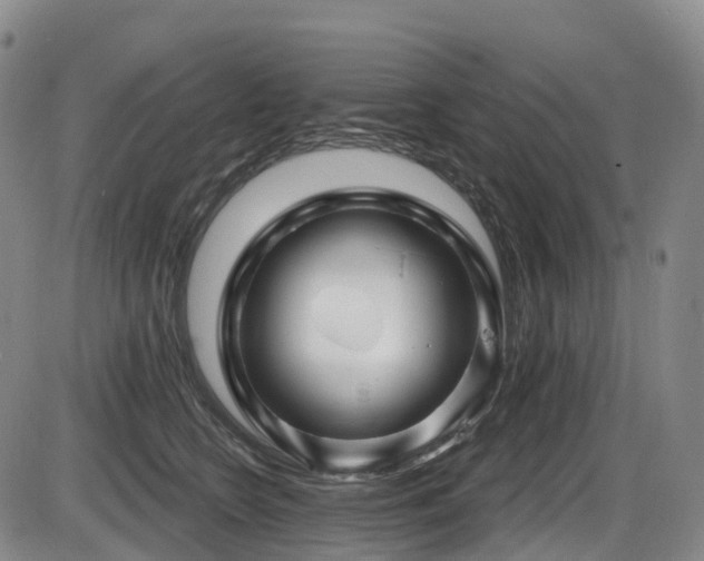 X0000086300566200703301205