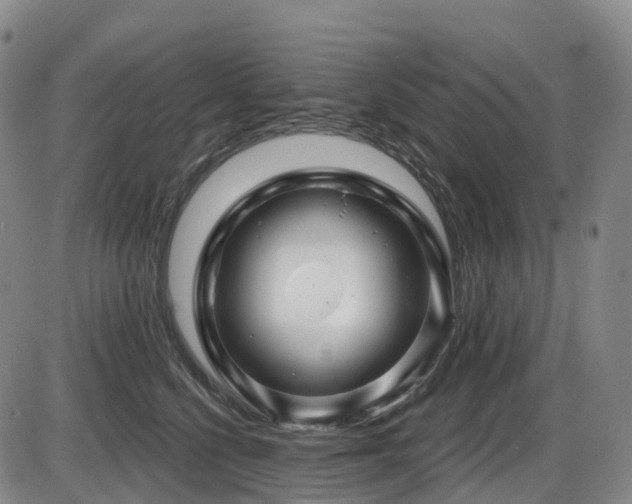X0000086300568200703301205