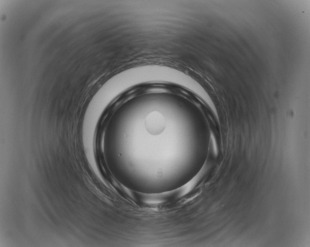 X0000086300572200703301205